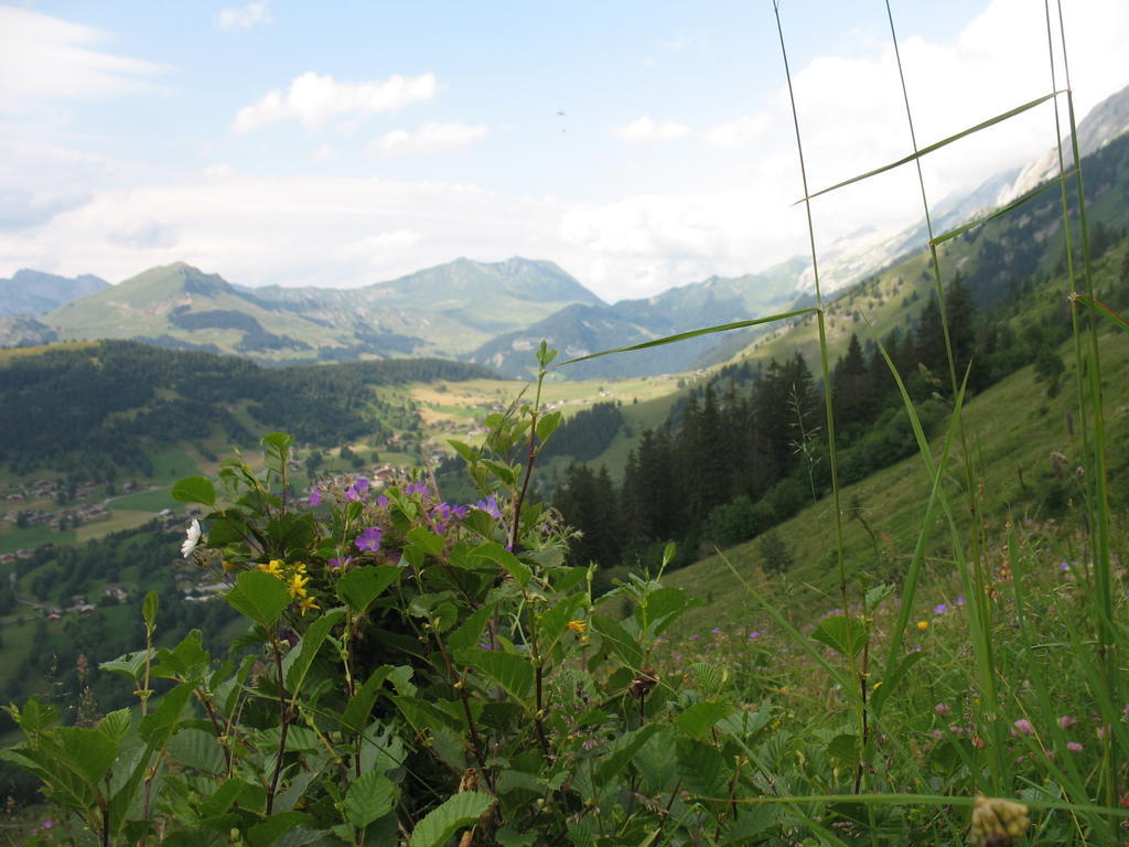 Hotel Bellachat La Clusaz Eksteriør bilde