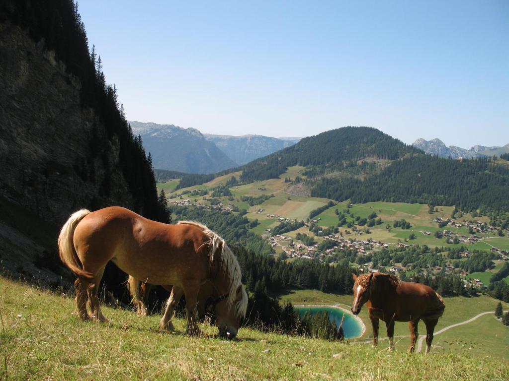 Hotel Bellachat La Clusaz Eksteriør bilde